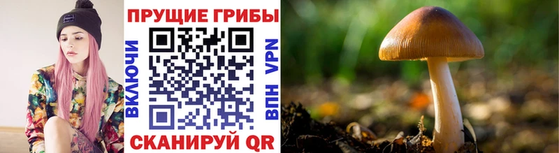 Псилоцибиновые грибы Magic Shrooms Сковородино